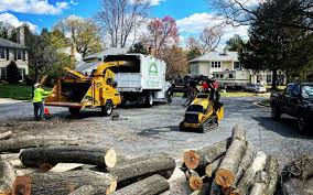 Seasonal Cleanup (Spring/Fall) in Sherman, IL